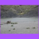 Yellow Stone River - My Backyard 3.jpg